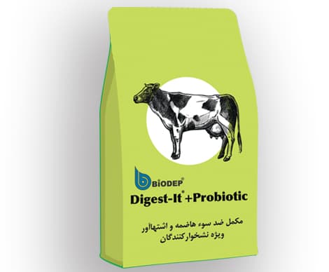 image of product Digest-It+Probiotic