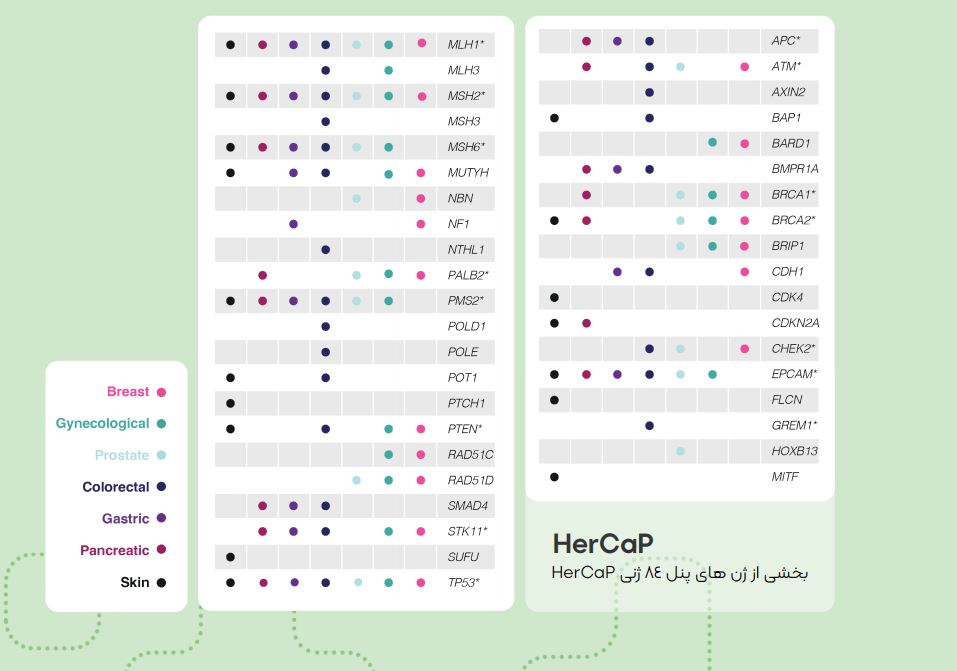 HerCaP - Hereditary Cancer Panel 84 Gene    سرویس غربالگری سرطان‌های وراثتی